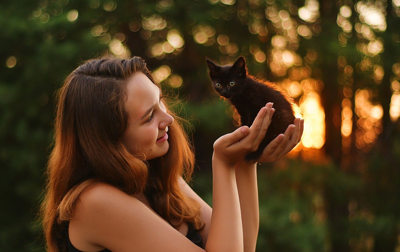 The Benefits of Incorporating Vegetables into Pet Meals